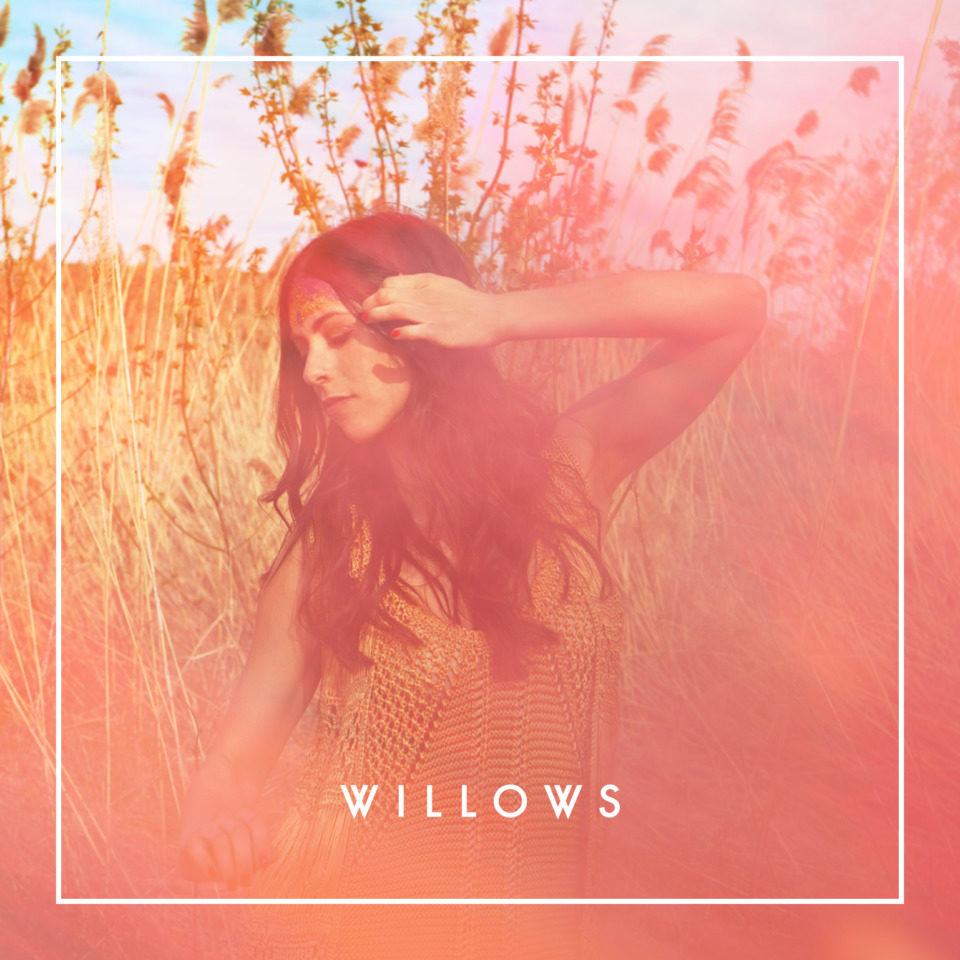 Critique : Willows – « Willows »